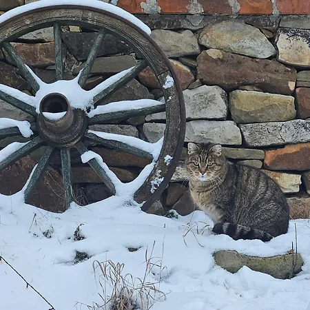 Prázdninový dům Statek U šimla